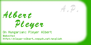 albert pleyer business card